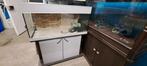 Aquarium 100x40x50cm incl meubel wanden en platen., Dieren en Toebehoren, Ophalen