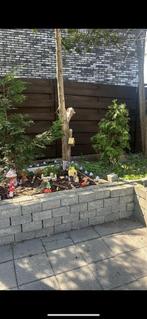 Beton klinkers GRATISGRATISGRATIS, Tuin en Terras, Ophalen, Steen, Minder dan 60 cm, Zo goed als nieuw