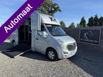 Opel Movano PAARDENWAGEN KRISMAR 3XL | HENGST | AUTOMAAT | 2, Dieren en Toebehoren, Paarden en Pony's | Trailers en Aanhangwagens