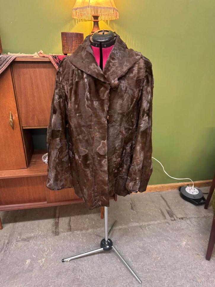Echte bontjas (kort), Kleding | Heren, Jassen | Zomer, Zo goed als nieuw, Bruin, Ophalen of Verzenden