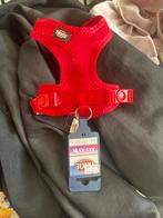 Honden tuigje XXS, Dieren en Toebehoren, Ophalen of Verzenden, Zo goed als nieuw