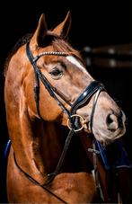 Hoofdstel, merk HB, maat paard, Ophalen of Verzenden, Zo goed als nieuw, Dressuur