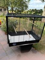 Grote vogelkooi, Ophalen, Zo goed als nieuw, Metaal, Vogelkooi