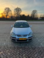 Volkswagen Golf 1.4 16V 55KW 5D 2004 Grijs, Auto-onderdelen, Ophalen, Gebruikt, Volkswagen, Deur
