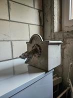 Grijs, Dieren en Toebehoren, Parkiet