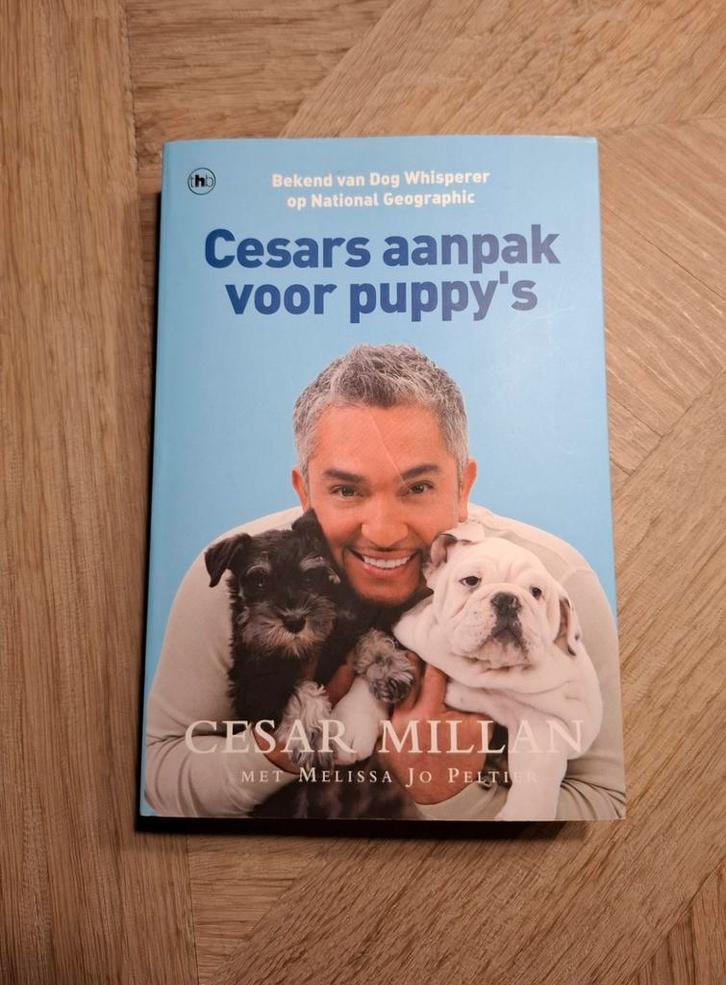 Cesars aanpak voor puppy's paperback, Boeken, Dieren en Huisdieren, Zo goed als nieuw, Honden, Ophalen of Verzenden