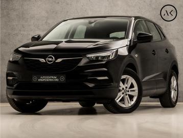Opel Grandland X 1.2 Turbo Sport Automaat (APPLE CARPLAY, GR beschikbaar voor biedingen