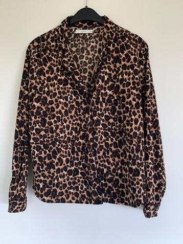 Damesblouse, maat 38, Pigalle beschikbaar voor biedingen