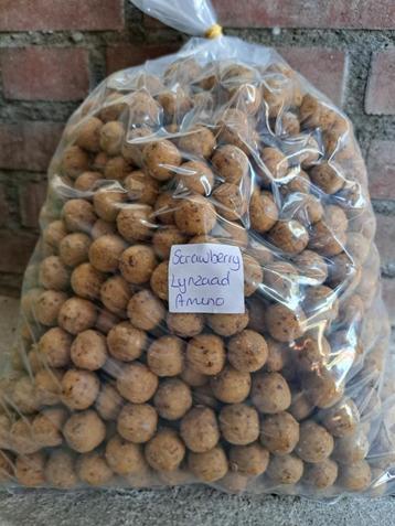 strawberry lijnzaad amino premium boilies beschikbaar voor biedingen