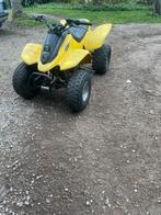 Quad van dinli 250 cc 2 takt start altijd met 2 kicks, 250 cc, 1 cilinder, 12 t/m 35 kW
