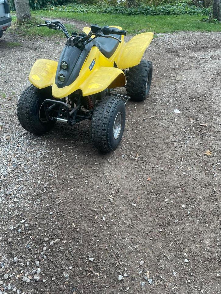 Quad van dinli 250 cc 2 takt start altijd met 2 kicks, Motoren, Quads en Trikes, 12 t/m 35 kW, 1 cilinder, Ophalen