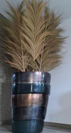 Earth vaas met cycas revoluta / Weavy palm leaves., Ophalen, Gebruikt, Glas, 75 cm of meer
