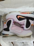 Nike Lebron IX 44.5, Ophalen of Verzenden, Nieuw, Overige kleuren