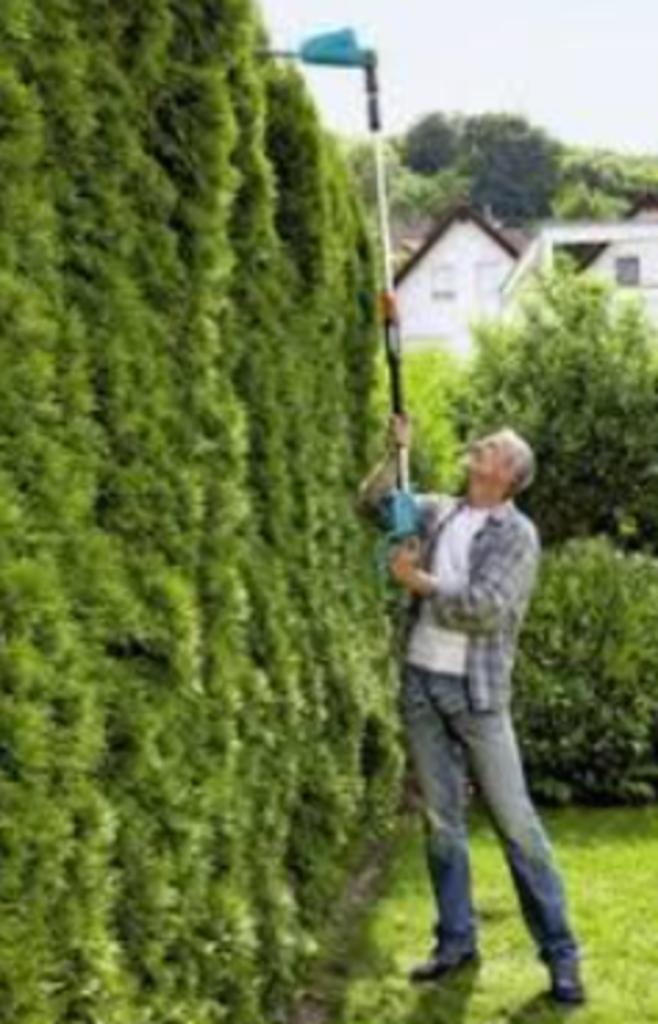 Accu telescoop steel-heggenschaar incl accu en lader, Tuin en Terras, Heggenscharen, Nieuw, Accu, Ophalen of Verzenden