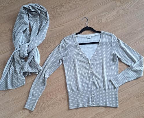 Pauw setje vest met shawl maat 1 (36), Kleding | Dames, Truien en Vesten, Zo goed als nieuw, Maat 36 (S), Overige kleuren, Ophalen of Verzenden