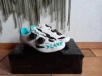 Nieuwe Lake CX237 Racefietsschoenen Maat 36, Ophalen of Verzenden