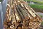 Inkoop: stamhout, brandhout, boomstammen voor goede prijzen, Ophalen of Verzenden, Blokken, 6 m³ of meer, Overige houtsoorten