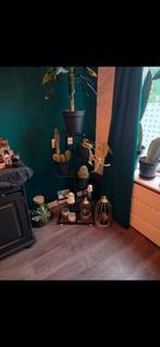 Plantenrek, Ophalen of Verzenden, Rond, Hout, Minder dan 60 cm