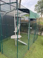 Outdoor Omlet kattenren, Dieren en Toebehoren, Ophalen, Gebruikt