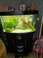 Juwel vision 180 led, Dieren en Toebehoren, Ophalen of Verzenden, Zo goed als nieuw, Leeg aquarium