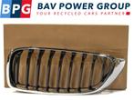 GRILLE LINKS ROOSTER NIEREN BMW 4 serie Gran Coupe (F36)