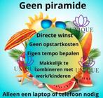 Thuiswerk, Vacatures, Starter, Overige vormen, Overige niveaus, Geschikt als bijbaan