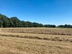 2e snee 2025 2e snede 2025 hooi hooipakjes hooibalen, Dieren en Toebehoren, Ophalen, Vee