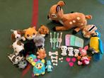 Diverse knuffels papegaai wnf knorretje Disney Bambi hondjes, Kinderen en Baby's, Speelgoed | Knuffels en Pluche, Overige typen