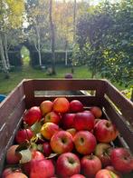 12 fruitkisten, Ophalen, Minder dan 50 cm, Minder dan 50 cm