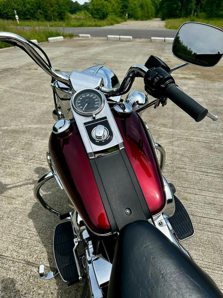 Harley Davidson Softail lage km stand, Motoren, Motoren | Harley-Davidson, Particulier, Toermotor, meer dan 35 kW, 2 cilinders