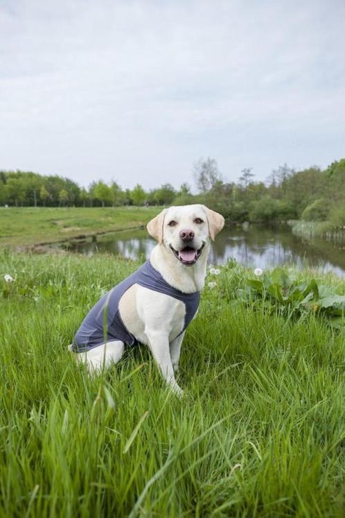 Trixie InsectShield vest L, Dieren en Toebehoren, Honden-accessoires, Nieuw, Ophalen of Verzenden