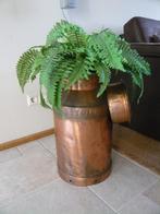 melkbus, Antiek en Kunst, Curiosa en Brocante, Ophalen