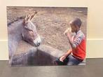 Middelgrote Foto op Plexiglas Afrikaans jongetje met Ezel, Minder dan 50 cm, Ophalen of Verzenden, Zo goed als nieuw, Foto of Poster