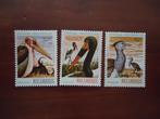 Vogels Mocambique 1981, mi. 801-03 postfris/ongebruikt, Ophalen of Verzenden, Postfris, Dier of Natuur
