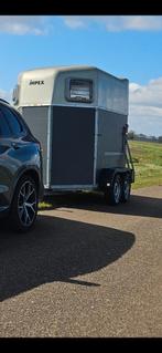BOCKMANN 2 PAARDSTRAILER DUETT, Ophalen, Zo goed als nieuw, Hout