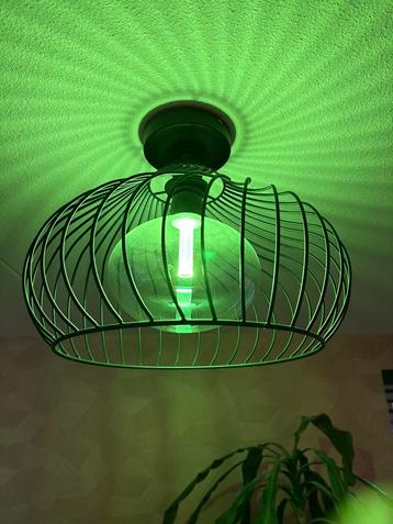 Hue Lightguide Ellipse beschikbaar voor biedingen