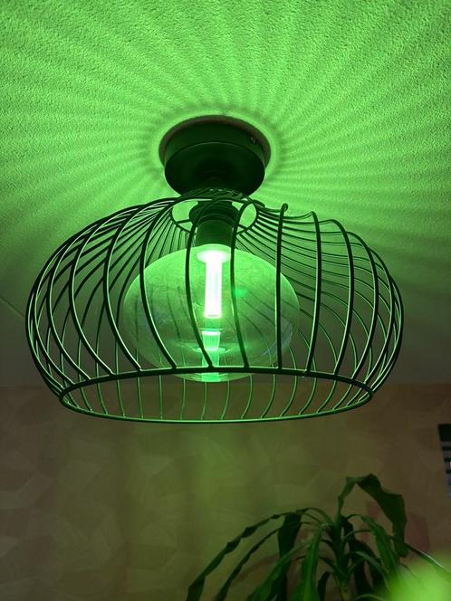 Hue Lightguide Ellipse, Huis en Inrichting, Lampen | Losse lampen, Zo goed als nieuw, Led-lamp, E27 (groot), Ophalen