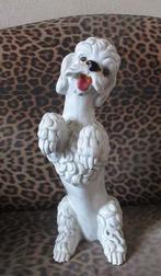 Poedel Italy aardewerk beeld hond Italie wit woonwagen stijl, Ophalen