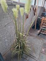 Kunstplant, Tuin en Terras, Ophalen, Overige soorten, Volle zon