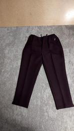 Broek Maat XXL Bordeauxrood Elastieken buikband Alica, Maat 46/48 (XL) of groter, Ophalen of Verzenden, Zo goed als nieuw, Lang