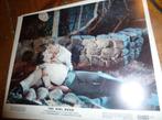 35mm film moviestill COLOR The Girl Rush Rosalind Russell -, Verzenden, 8mm film