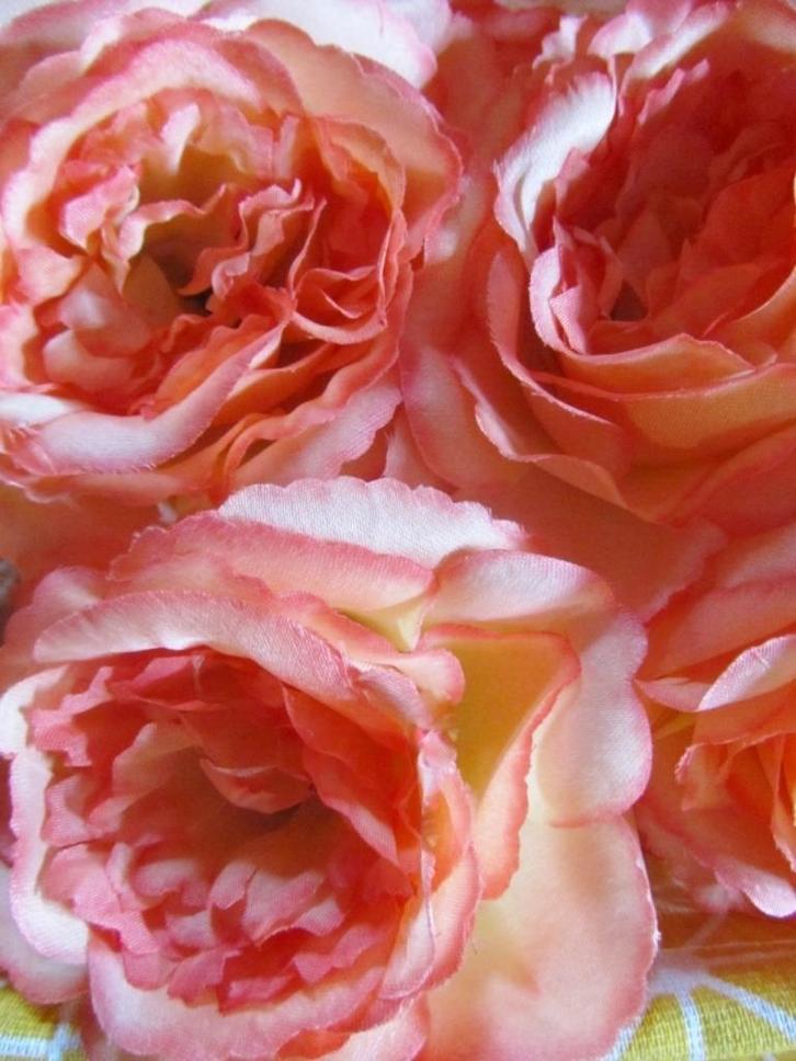 BLOEM KOP - KUNST - ROOS ZALM - ROZE, Hobby en Vrije tijd, Knutselen, Nieuw, Materiaal, Ophalen of Verzenden