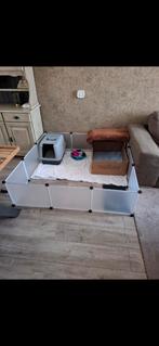 Kattenren, Dieren en Toebehoren, Katten-accessoires, Ophalen of Verzenden