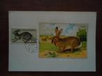 Dier veld haas op kaart Tsjechoslowakije 1955, mi. 929, Ophalen of Verzenden, Postfris, Dier of Natuur