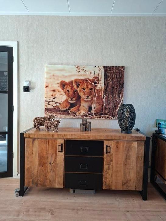 Plexiglas schilderij 1.20x80cm, Huis en Inrichting, Woonaccessoires | Schilderijen, Tekeningen en Foto's, Zo goed als nieuw, Schilderij