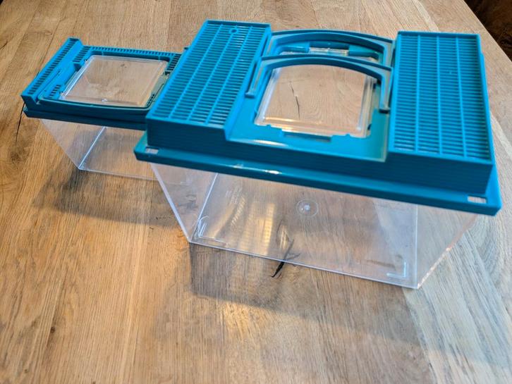 Savic Faunabox insecten , knaagdieren , reptiel bak 2 x, Dieren en Toebehoren, Reptielen en Amfibieën | Toebehoren, Zo goed als nieuw