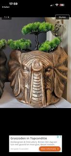 Vazen, Huis en Inrichting, Woonaccessoires | Vazen, Overige kleuren, Nieuw, Ophalen of Verzenden, Glas