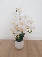 Mooie orchidee, Huis en Inrichting, Woonaccessoires | Kunstplanten en Kunstbloemen, Ophalen of Verzenden, Nieuw