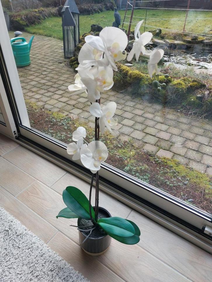 Mooie Nep Phalaenopsis Orchidee in Pot, Huis en Inrichting, Kamerplanten, Overige soorten, Minder dan 100 cm, Bloeiende kamerplant