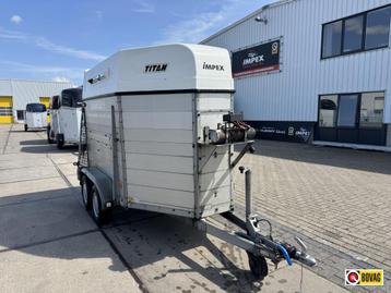 Bij Impex Titan aluminium vee trailer 300x165x200 alu bodem beschikbaar voor biedingen
